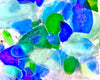 Sea Glass