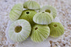 Green Urchins