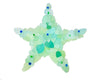 Sea Foam Starfish