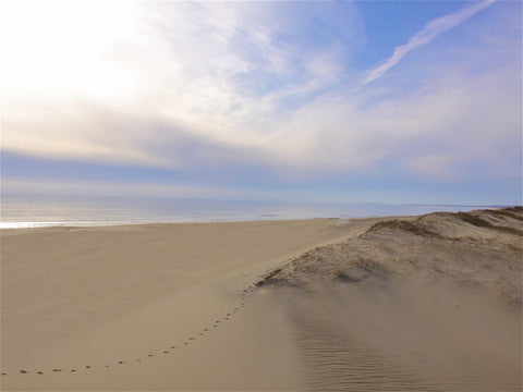South Beach Footprints