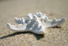 Single Sand Star