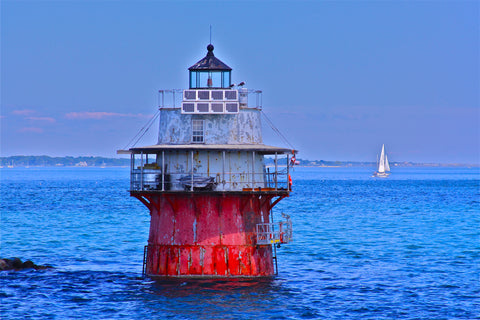 Bug Light