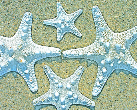 Stars in Sand